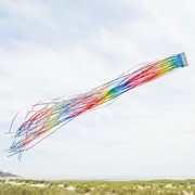 In the Breeze Rainbow 51" Mylar Windsock 9065 View 2