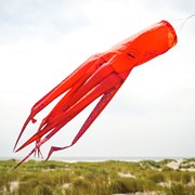 In the Breeze 40" Octopus 3D Windsock 5206 View 2