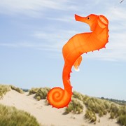 In the Breeze 40" Seahorse 3D Windsock 5207 View 2