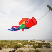In the Breeze 30" Rainbow Damsel Fish Windsock 5208 View 2