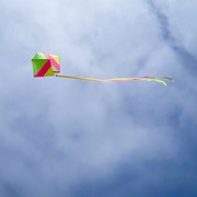In the Breeze Neon Single Box Kite 3364 View 2