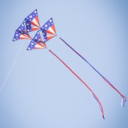 In the Breeze Stars & Stripes Tri-Kite 3372 View 2