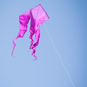 In the Breeze Purple 52" Wave Delta Kite 3358 View 2