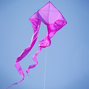 In the Breeze Purple 77" Wave Delta Kite 3359 View 2