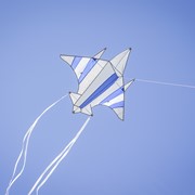 In the Breeze Fighter Jet Kite 3360 View 2