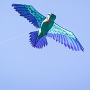 In the Breeze 3D Hummingbird Kite 3380 View 2