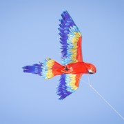 In the Breeze 3D Scarlett Parrot Kite 3381 View 2