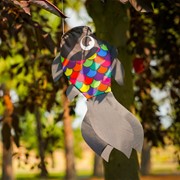 In the Breeze 15" Black & Rainbow Damsel Fish 5224 View 2