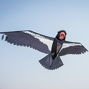 In the Breeze 84" California Condor Kite 3376 View 2