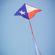 In the Breeze 46" Texas Delta Kite 3392 View 2
