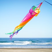 In the Breeze 60" Fiesta Spinsock 5228 View 2