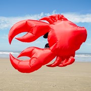 In the Breeze Crab Big Breeze Windsock™ 5230 View 2