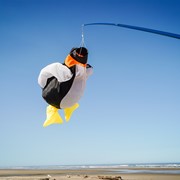 In the Breeze Penguin Big Breeze Windsock™ 5252 View 2