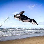In the Breeze Orca Big Breeze Windsock™ 5231 View 2