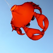 In the Breeze 40" Realistic Crab 3D Windsock 5248 View 2