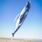 In the Breeze Humpback Whale 48" Fish Windsock 5243 View 2