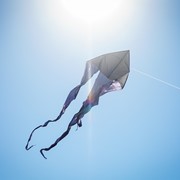 In the Breeze Black 77" Wave Delta Kite 3393 View 2
