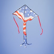In the Breeze Patriotic 46" Fly-Hi Kite 3396 View 2