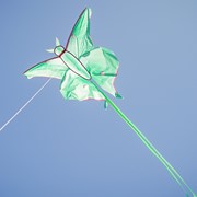 In the Breeze Luna Moth Kite 3398 View 2
