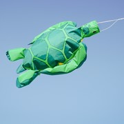 In the Breeze Turtle Big Breeze Windsock™ 5254 View 2