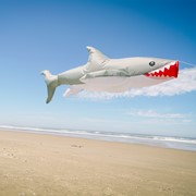 In the Breeze Shark Big Breeze Windsock™ 5253 View 2