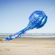 In the Breeze 50-inch Blue Iridescent Jellyfish 3D Windsock 5259 View 2
