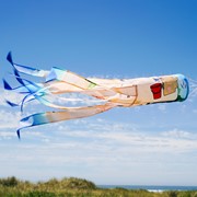 In the Breeze Beach Day 40" Illusion Windsock 5246 View 2