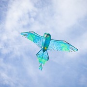 In the Breeze 3D Blue Parrot Kite 3509 View 2