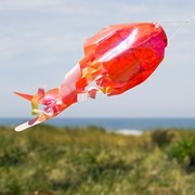 In the Breeze 15" Orange Iridescent Jellyfish 3D Windsock 5262 View 2