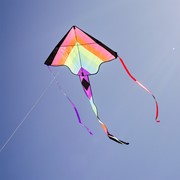 In the Breeze Neon Fiesta 46" Fly-Hi Kite 3512 View 2