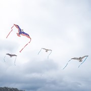 In the Breeze 40" Bitty Birds of Prey Kite POP Display, 24-PC 3520 View 2