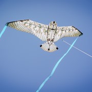 In the Breeze 40" Owl Bitty Bird Kite 3518 View 2
