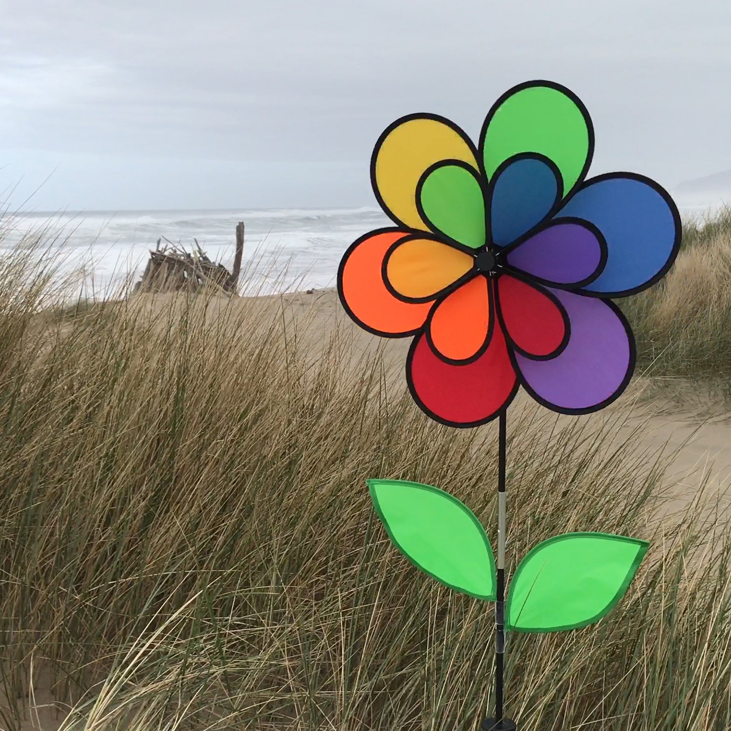 12 Petal Flower with Leaves Double Wheel Spinner | In the
