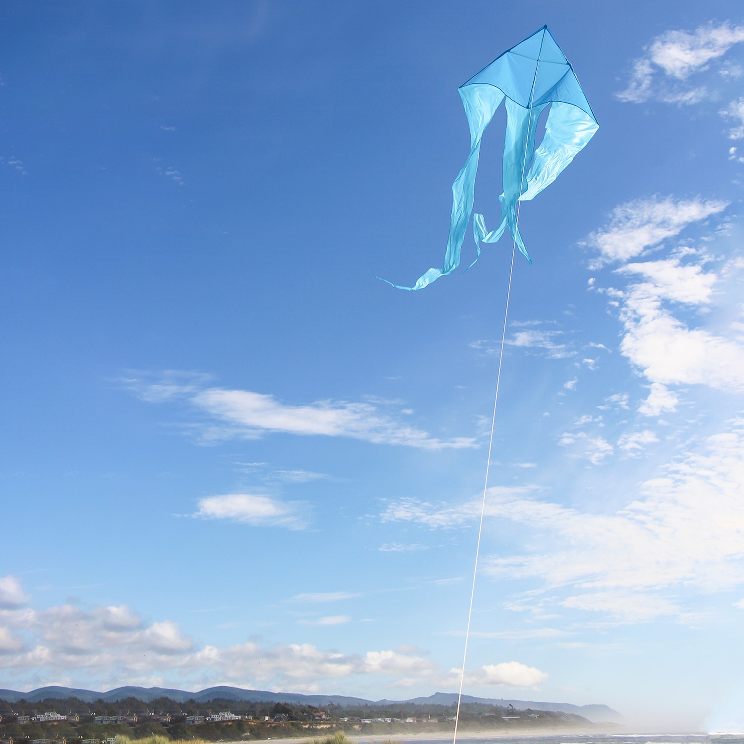 Blue 77 inch Wave Delta Kite | In the Breeze | Wholesale Garden