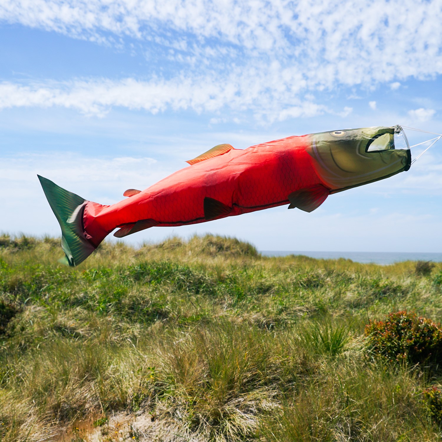 Sockeye Salmon 48