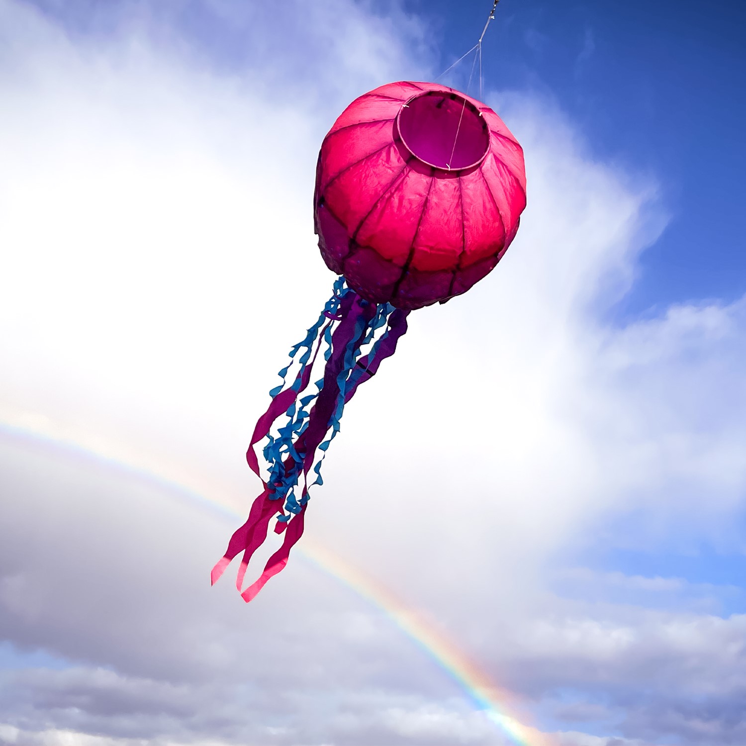 Jellyfish Big Breeze Windsock | Wholesale Garden Decor | In the Breeze