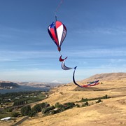 In the Breeze Patriot Hot Air Balloon 1013 View 3