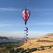 In the Breeze Patriot Eagle Hot Air Balloon 1048 View 3