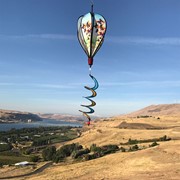 In the Breeze Butterfly Swarm Hot Air Balloon 1052 View 3