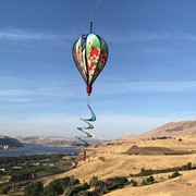 In the Breeze Cardinal Hot Air Balloon 1055 View 3