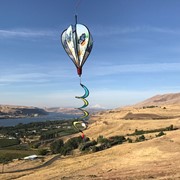 In the Breeze Blue Butterfly Hot Air Balloon 1057 View 3