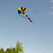 In the Breeze Rainbow Sparkler Fly-Hi Kite 2903 View 3