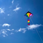 In the Breeze Mini Rainbow Fly-Hi Kite 2905 View 3