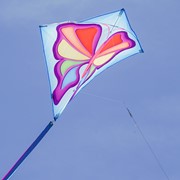 In the Breeze Butterfly 30" Diamond Kite (Optimized for Shipping) 2907 View 3
