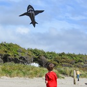 In the Breeze 4' 3D Shark Kite 2909 View 3