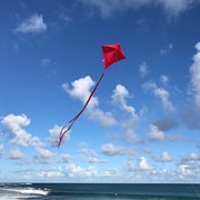 In the Breeze Red Colorfly 30" Diamond Kite 2988 View 3