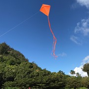 In the Breeze Orange Colorfly 30" Diamond Kite 2989 View 3