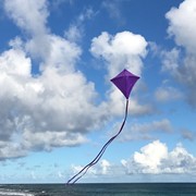 In the Breeze Purple Colorfly 30" Diamond Kite 2993 View 3