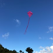 In the Breeze Pink Colorfly 30" Diamond Kite 2994 View 3