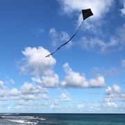 In the Breeze Black Colorfly 30" Diamond Kite 2996 View 3